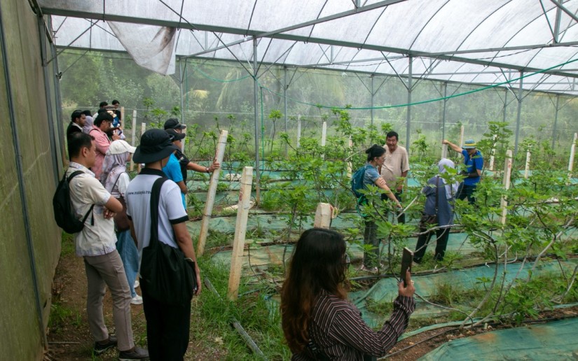Image from: Kedah, Perlis Tumpu Pelancongan Berasaskan Pengalaman