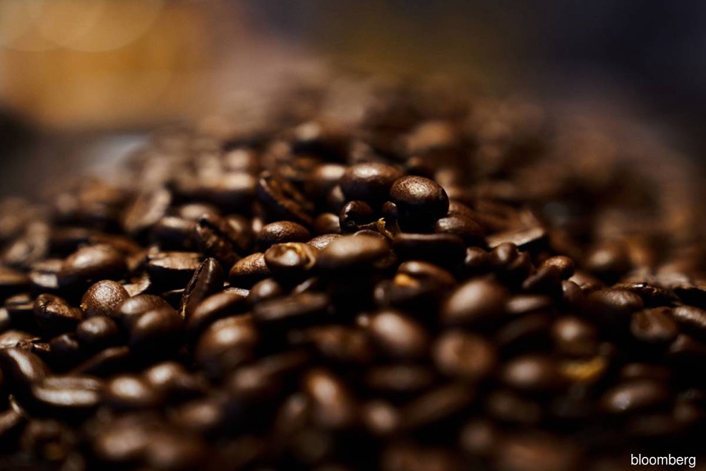 Europe faces coffee shortage as deforestation rules lack clarity