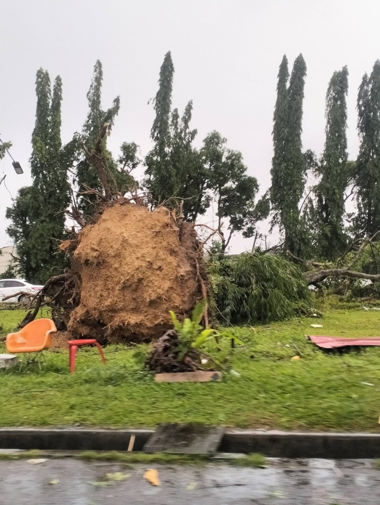 Image from: 巴占狂风过后满目疮痍  灾民抢修家园