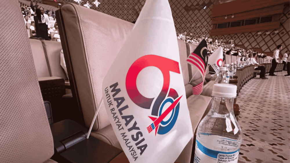 Image from: 去留团结政府? 行动党4264代表投关键票