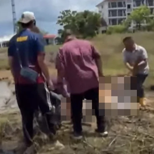 Image from: Tembak Kaki Lembu Mengamuk Demi Keselamatan, Lepas Jatuh Baru Sembelih – MB Perlis