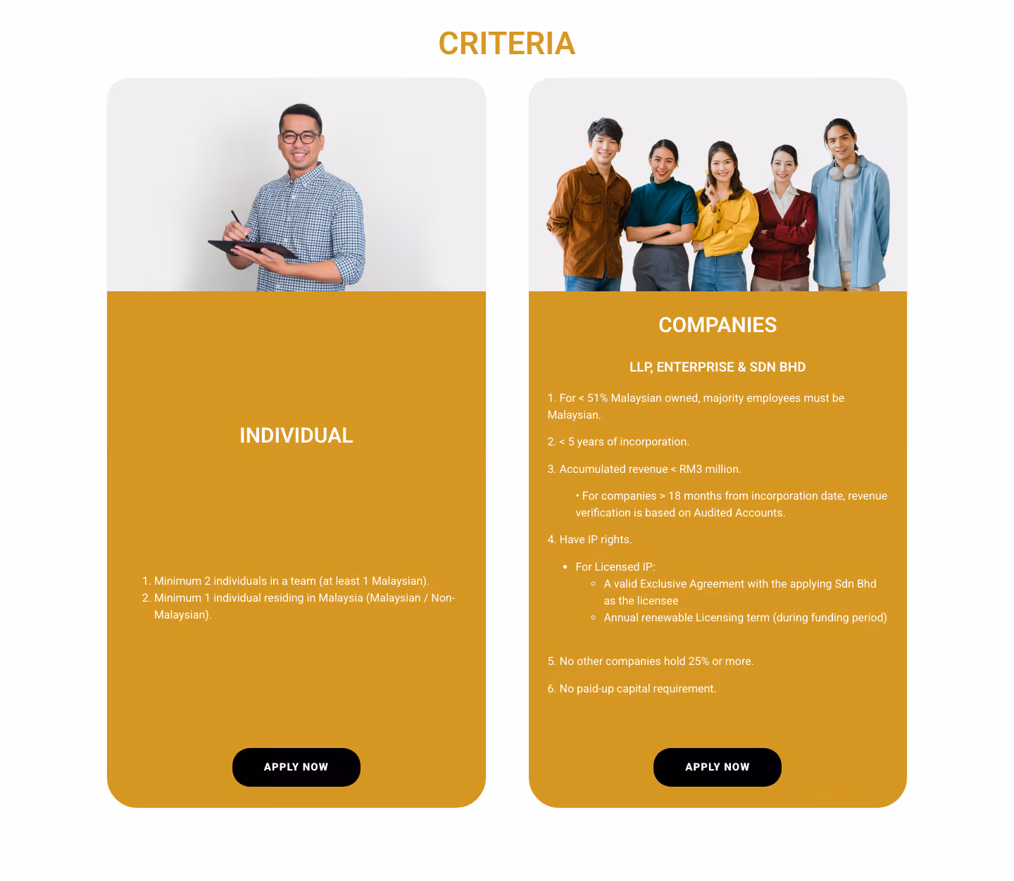 Cradle's published CIP Spark criteria, showing an individual column beside a companies column