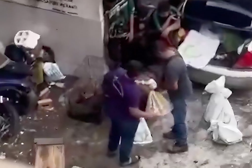Malaysia investigates viral video of cats being stuffed into sacks