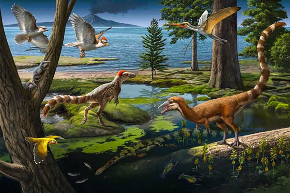 Eat, prey, eat: fossil find in China reveals unusual dinosaur-mammal ...