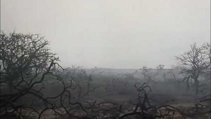 Image from: Suffolk wildfire latest: Firefighters warn blaze still ‘unpredictable’ as battle to control flames enters third day