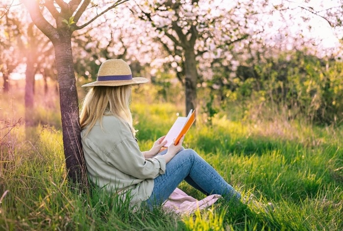 Image from: 10 Ikigai Rules for a Life You Genuinely Love