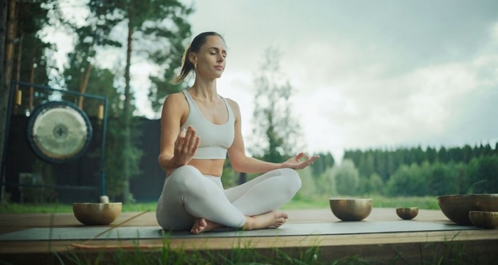 Image from: 10 Ikigai Rules for a Life You Genuinely Love