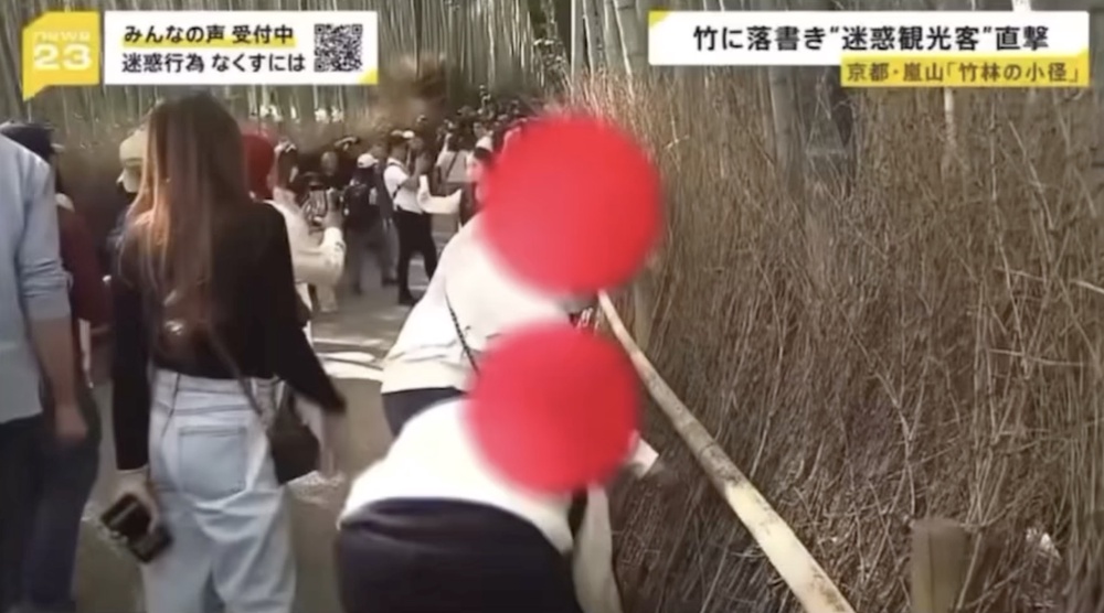 Image from: Malaysian tourists caught on Japanese TV vandalising Kyoto's Arashiyama Bamboo Forest & "showed no signs of remorse"