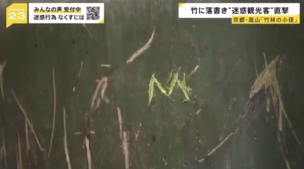 Image from: Malaysian tourists caught on Japanese TV vandalising Kyoto's Arashiyama Bamboo Forest & "showed no signs of remorse"