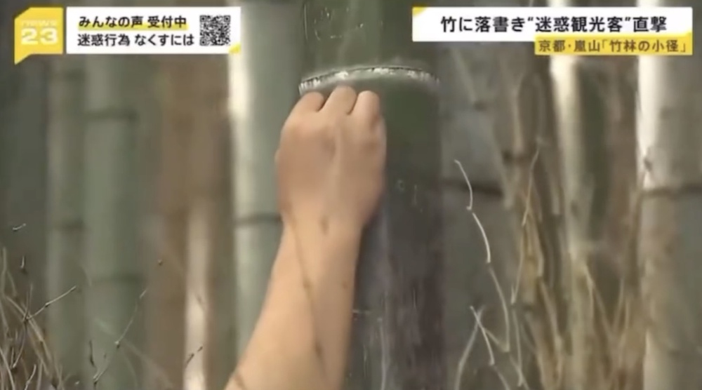 Image from: Malaysian tourists caught on Japanese TV vandalising Kyoto's Arashiyama Bamboo Forest & "showed no signs of remorse"