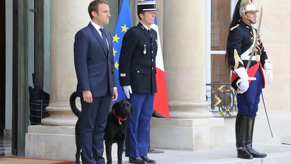Image from: Pets of World Figures Who Changed the Image of Power