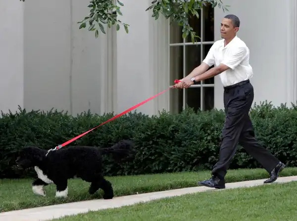Image from: Pets of World Figures Who Changed the Image of Power