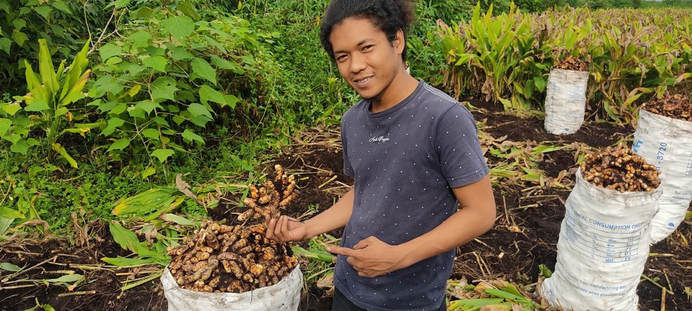 Image from: Experience a Day at the Turmeric Farm: A Journey into Malaysia’s Golden Spice Heartland