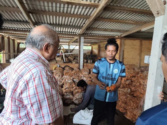 Image from: Experience a Day at the Turmeric Farm: A Journey into Malaysia’s Golden Spice Heartland