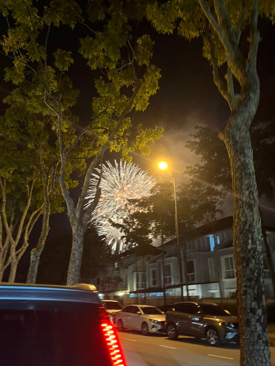 Image from: From Grapes to Fireworks: What New Year Traditions Have in Common