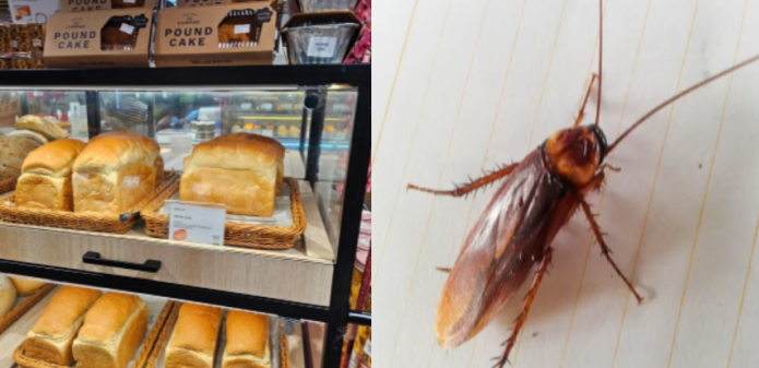Cockroach Found Crawling on Bread in Bangsar Bakery, Store Issues ...