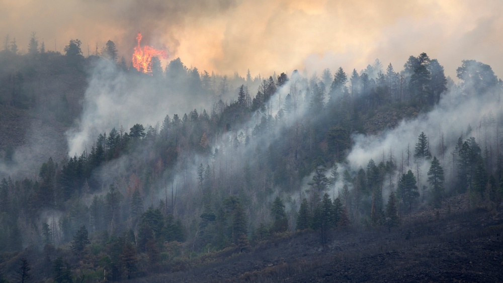 How Wildfire Smoke Affects Your Body And Mind 4372