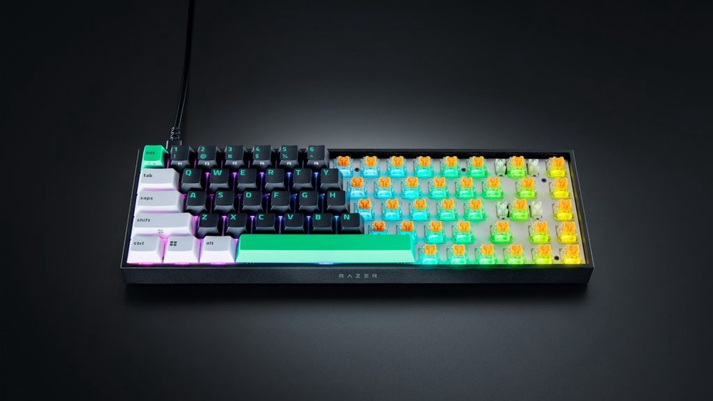 Razer Reclusa X Mini 65% Hot-Swappable Gaming Keyboard Unveiled, And It Is Surprisingly Affordable - 17