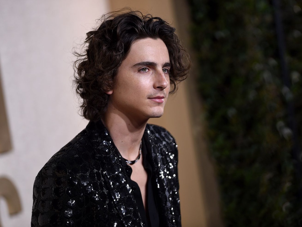 A Club Chalamet Deep Dive, ‘Tortured Poets’ Impressions, and a Fake