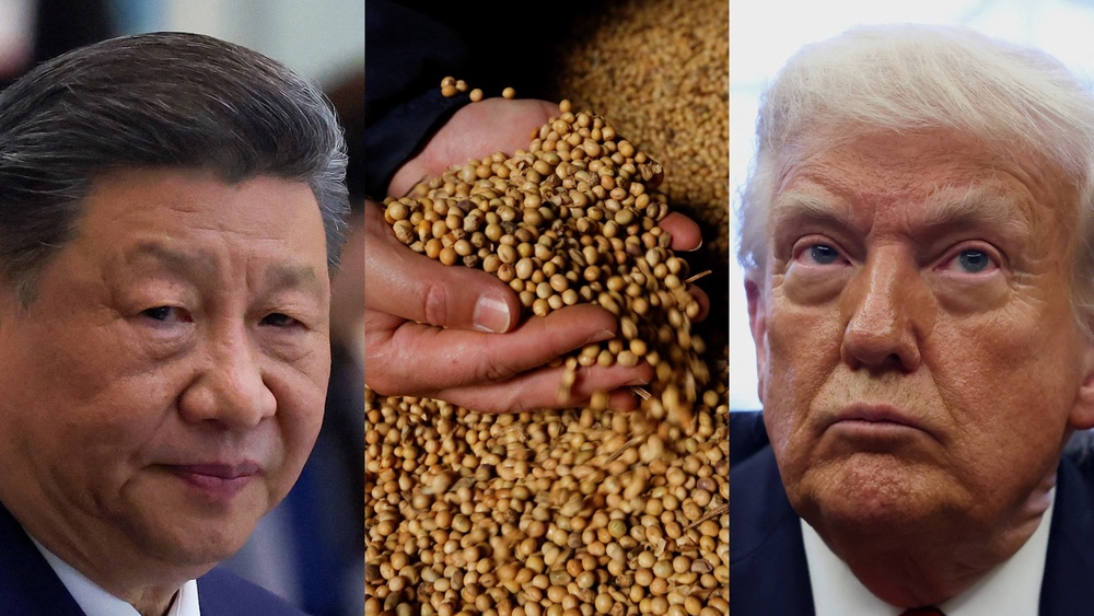 China halted orders for U.S. soybeans and corn before tariff escalation