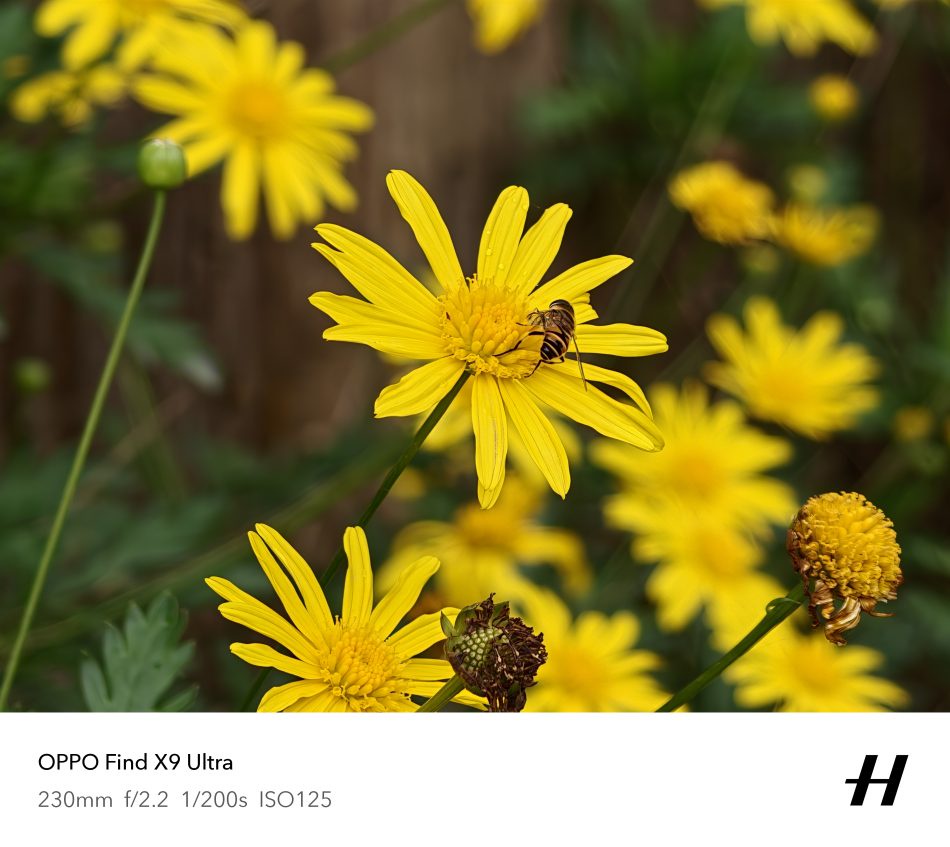 Image from: Ulasan OPPO Find X9 Ultra – Telefon Yang Menyamar Sebagai Kamera