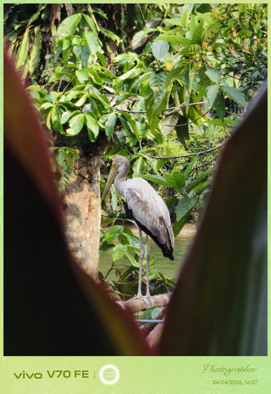 Image from: Ulasan Vivo V70 FE – Praktikal Dan Cukup Memadai