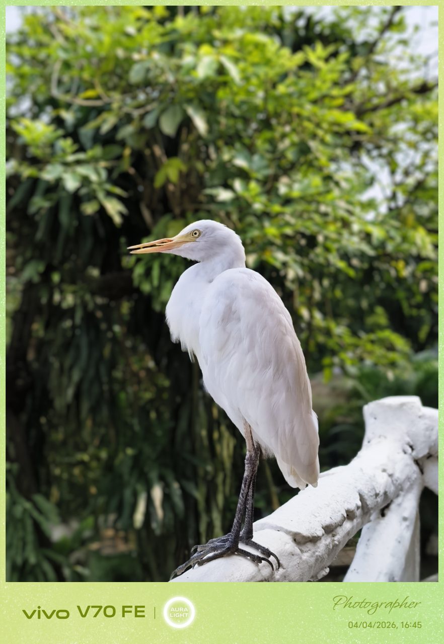 Image from: Ulasan Vivo V70 FE – Praktikal Dan Cukup Memadai