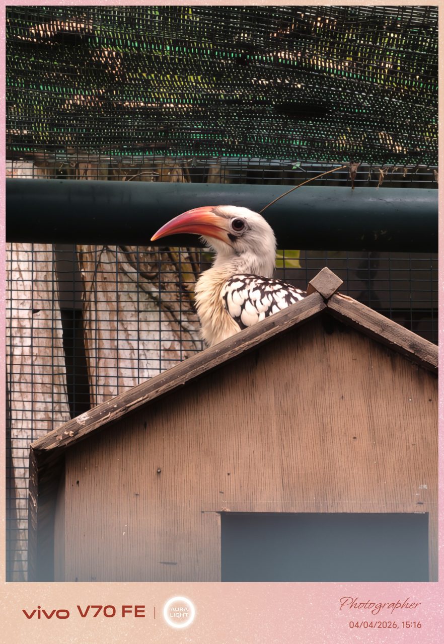 Image from: Ulasan Vivo V70 FE – Praktikal Dan Cukup Memadai