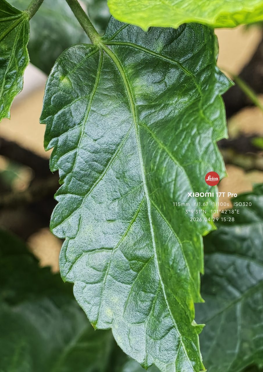 Image from: Xiaomi 17T Pro – Lebih Daripada Sekadar Naik Taraf