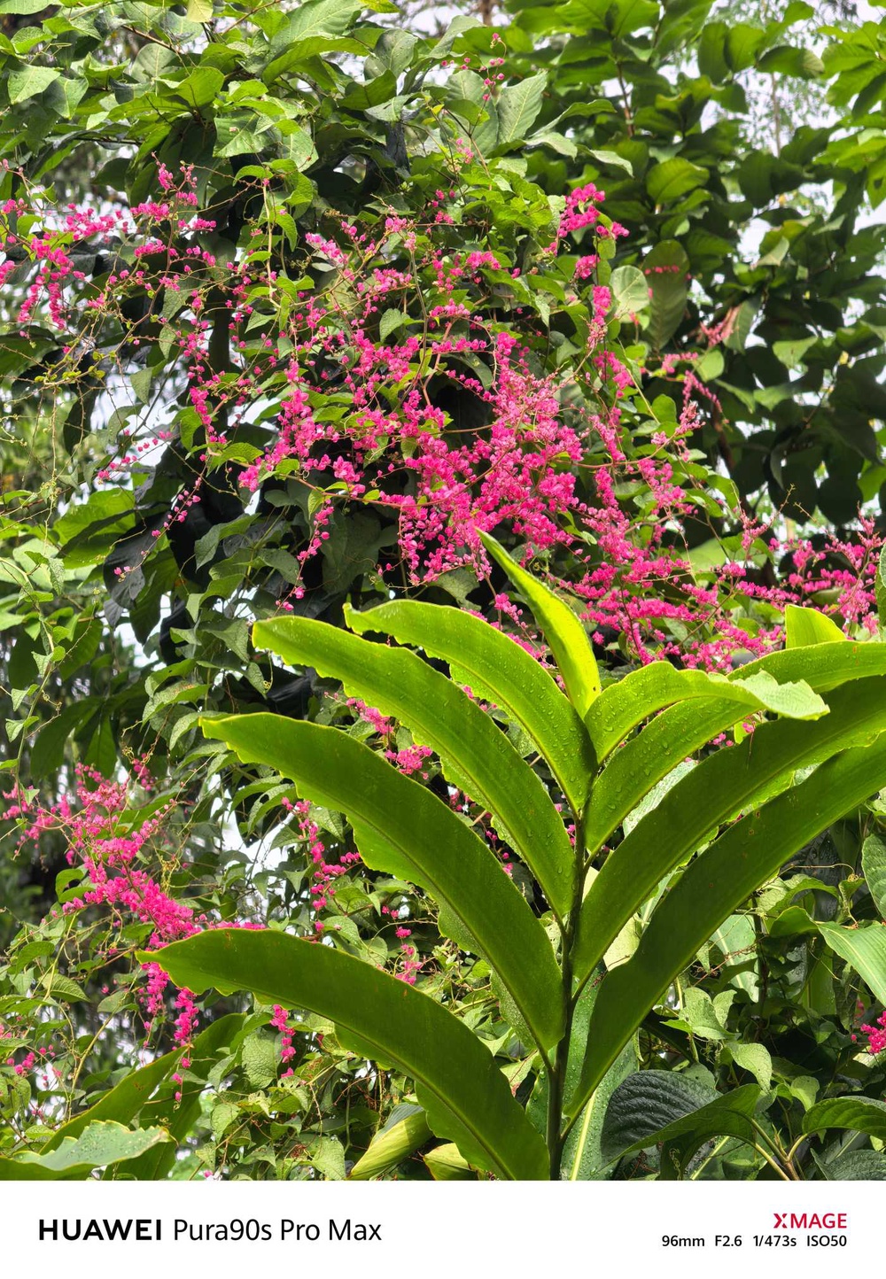 Image from: Ulasan Huawei Pura 90s Pro Max – 5G Kembali