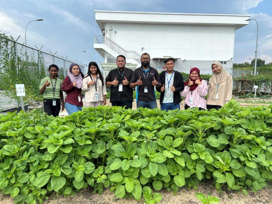 Image from: Micron Di Malaysia – Hubungan Simbiosis Dalam Industri Untuk Memacu Kemajuan Sesama Sendiri