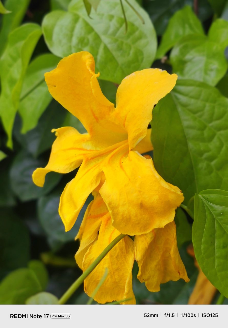Image from: REDMI Note 17 Pro Max 5G – Tiada Lagi “Drama” Bateri
