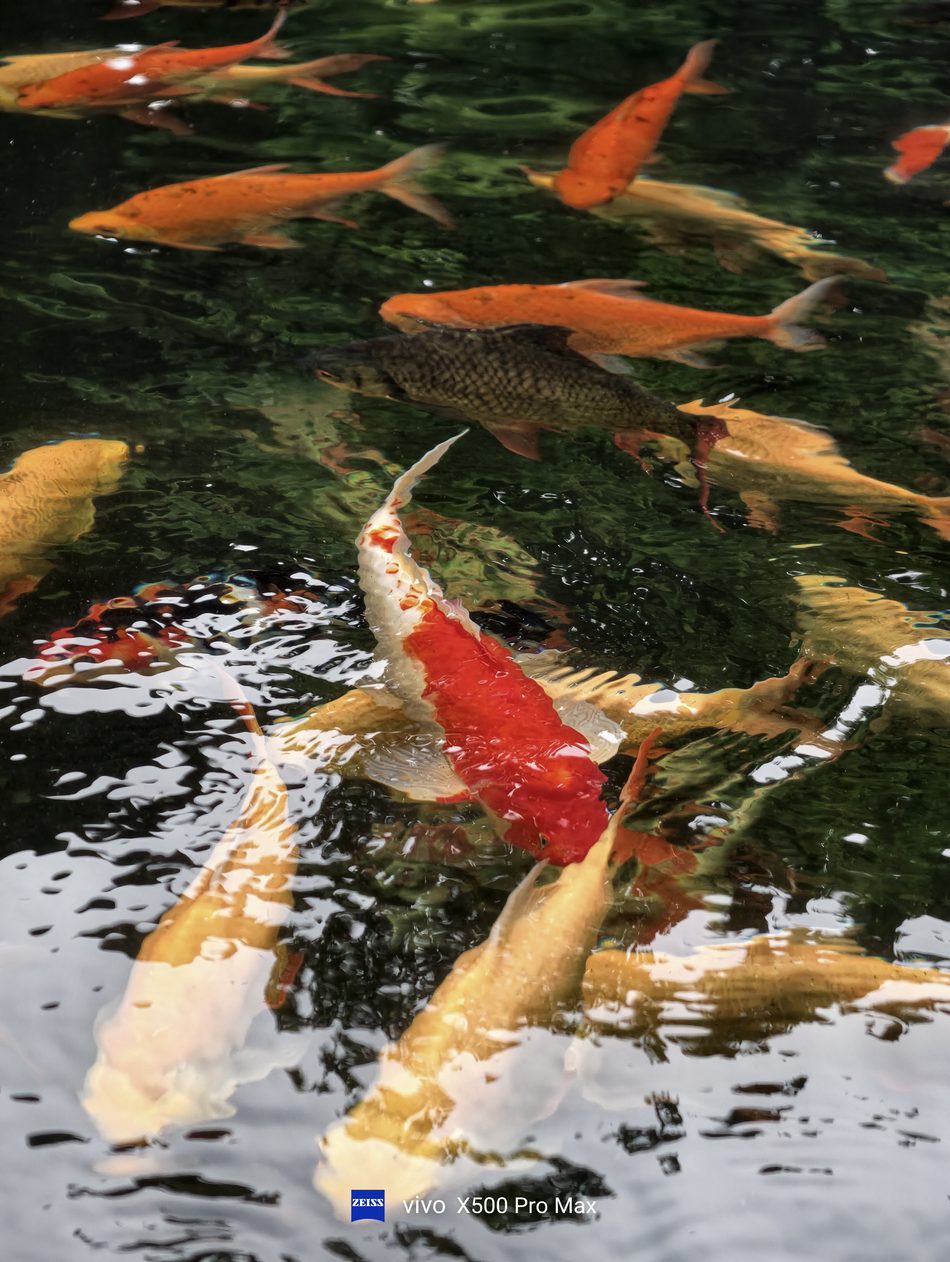 Image from: vivo X500 Pro Max – Gambar Jadi Kekuatan, Video Jadi Kelebihan