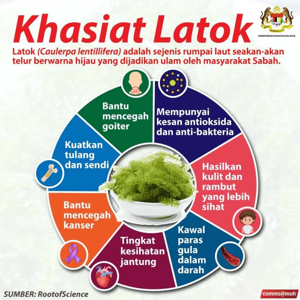 Image from: 25 Makanan Sabah Yang Unik dan Popular di Malaysia