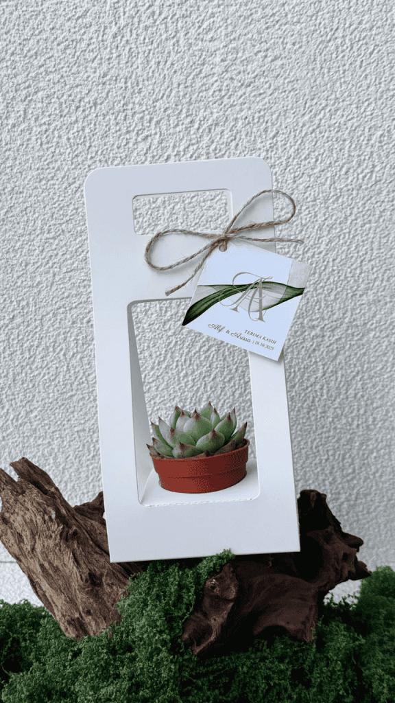 Image from: Contoh Hadiah Hari Guru Paling ‘Function’ – Cikgu Sendiri ‘Approve’!