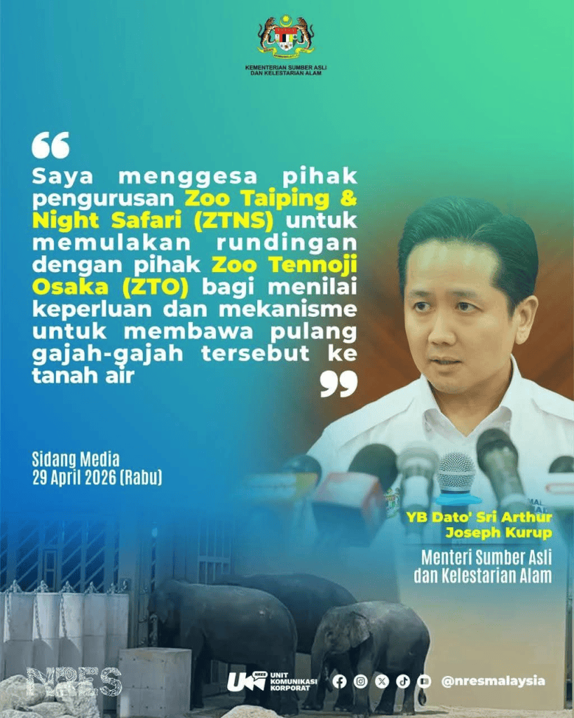 Image from: Gajah Dara, Amoi, Kelat – Kronologi & Petisyen Pulangkan DAK