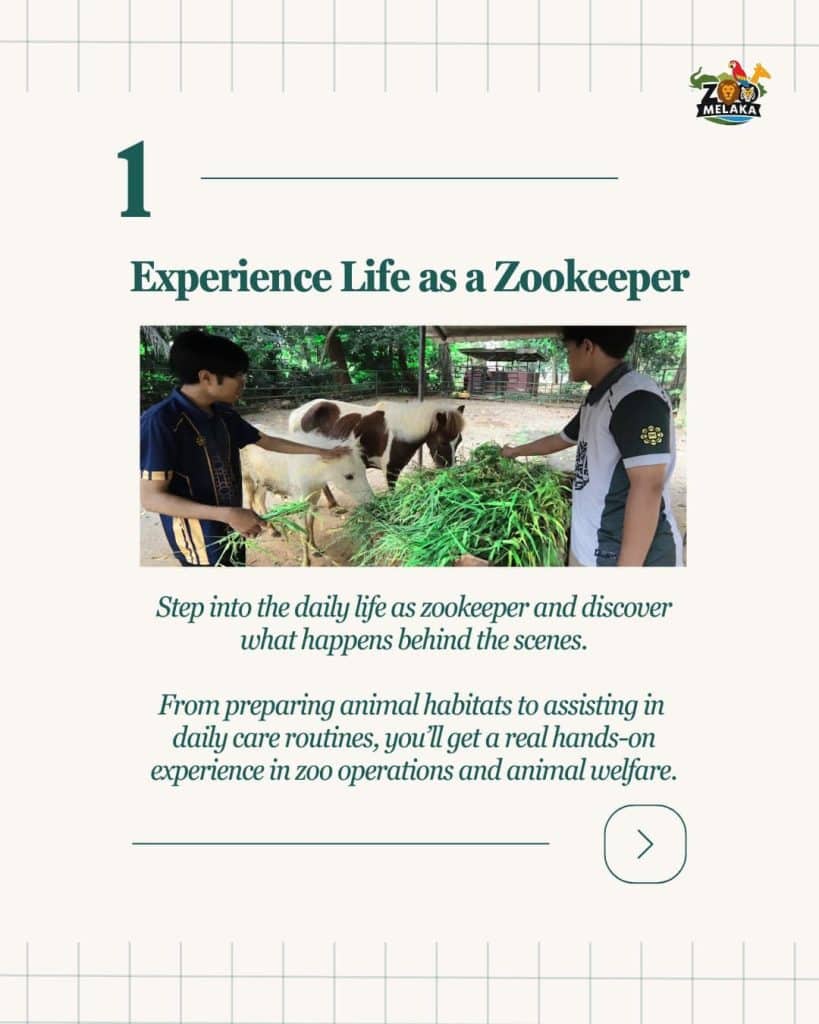 Volunteer Zoo Melaka