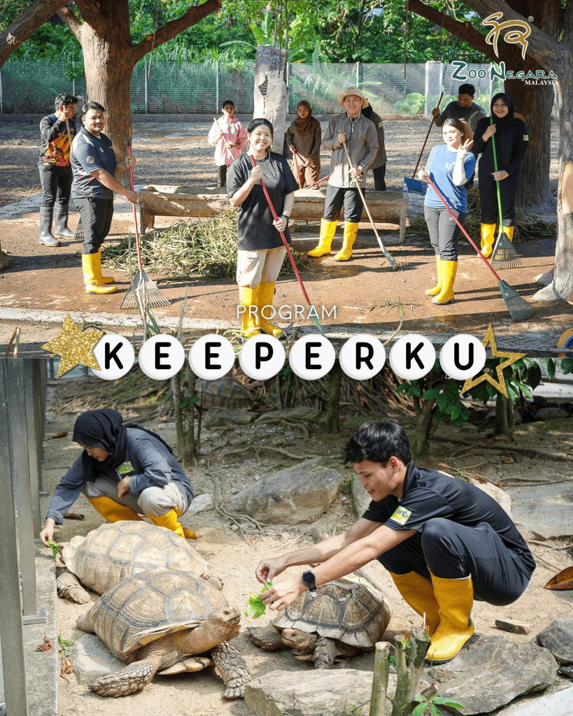  Program Volunteer Zoo Negara (KeeperKu)?