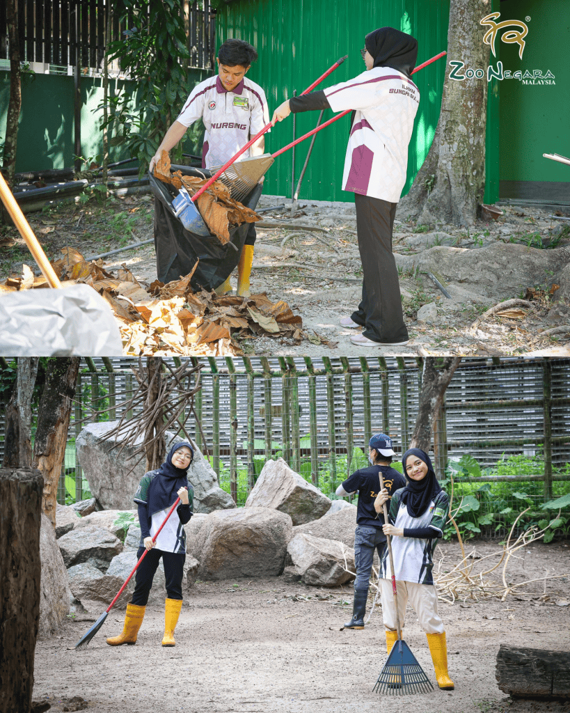  Program Volunteer Zoo Negara (KeeperKu)?