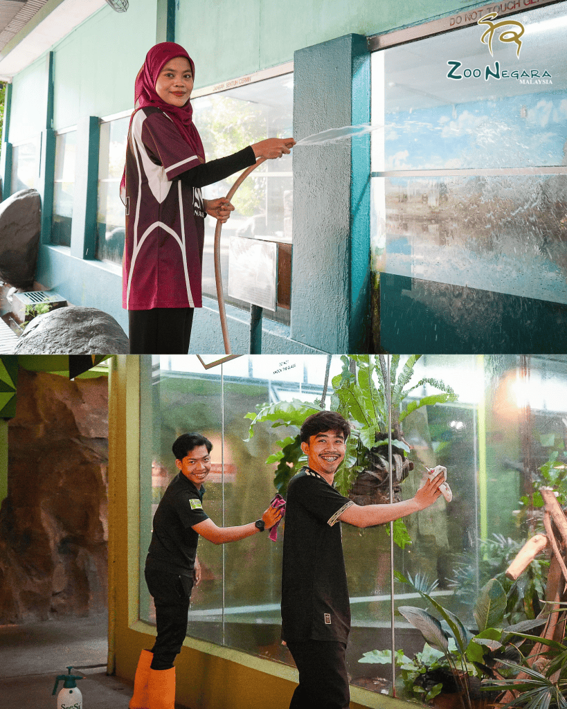 Program Volunteer Zoo Negara (KeeperKu)?
