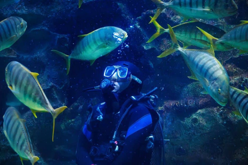 Aquaria Masuk Percuma