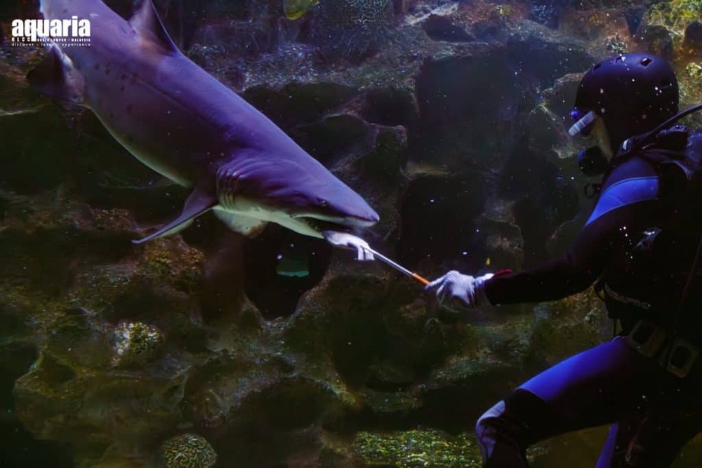 Image from: Aquaria Masuk Percuma Untuk Birthday Person September & Oktober 2026