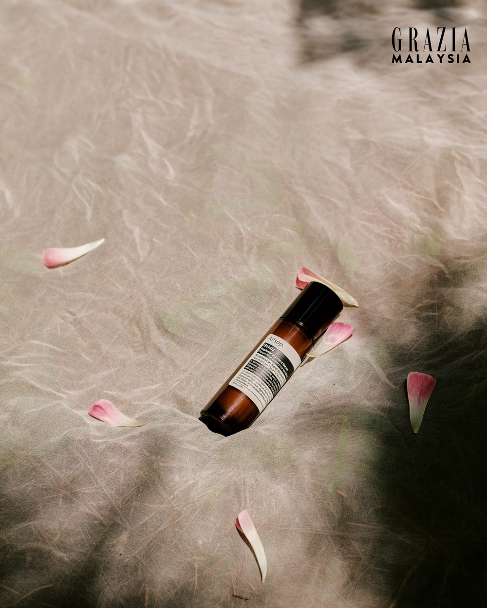 Image from: May 2026 Cover: Jojo Goh Adds A Touch of Care