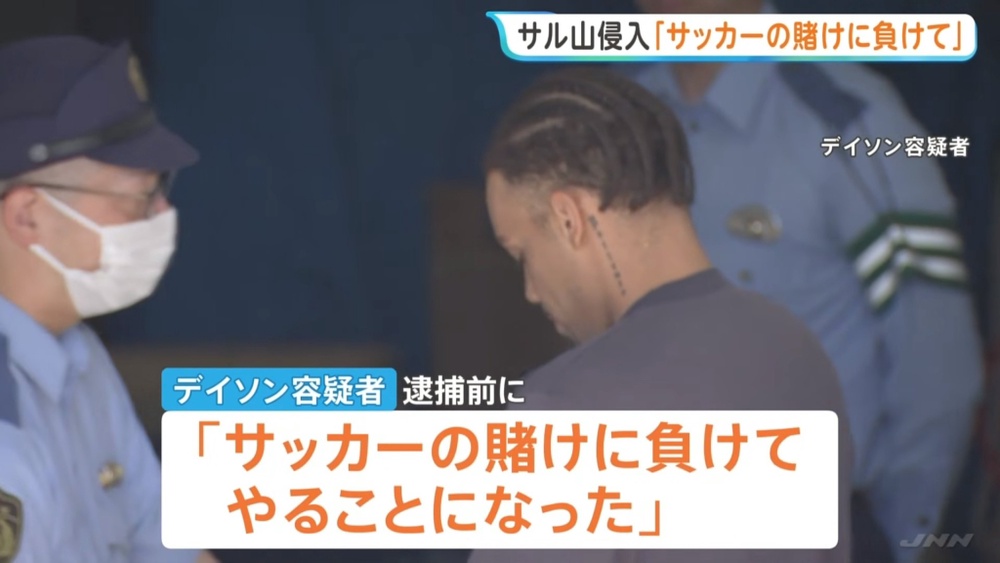 Image from: 闯日本人气猕猴“Panchi”地盘 2外籍男动机曝光