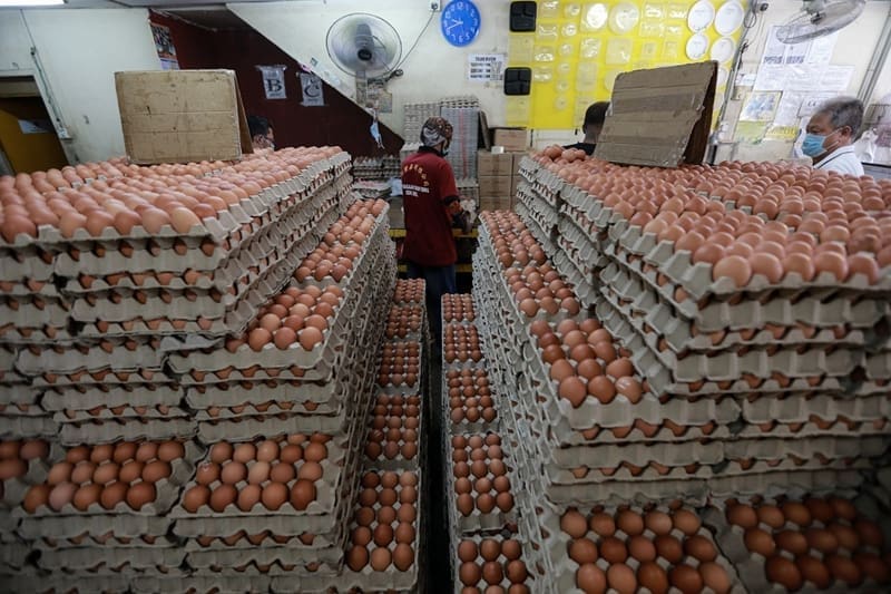 Image from: Government Restructures Egg Subsidies, Introduces Special Grade Eggs
