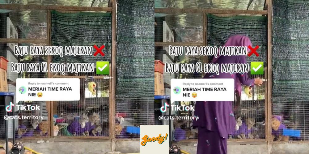 WATCH This Adorable Video Of Cats In Matching Eid Attires Melts Our Hearts