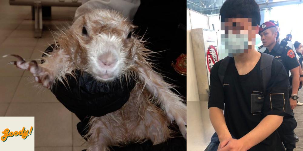 Man attempts to smuggle two otters and a prairie dog in his trousers, Weird News