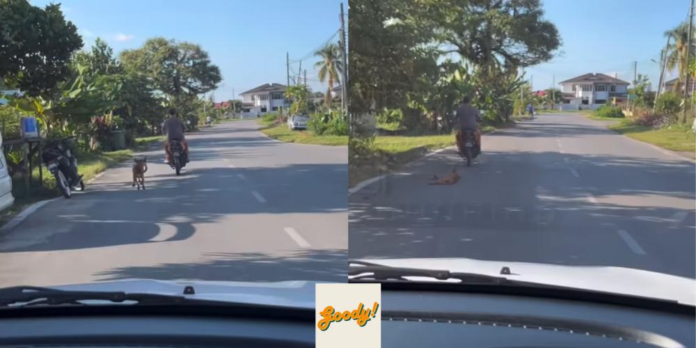 [Watch] Video of Motorcyclist Cruelly Dragging Dog on Road Sparks ...