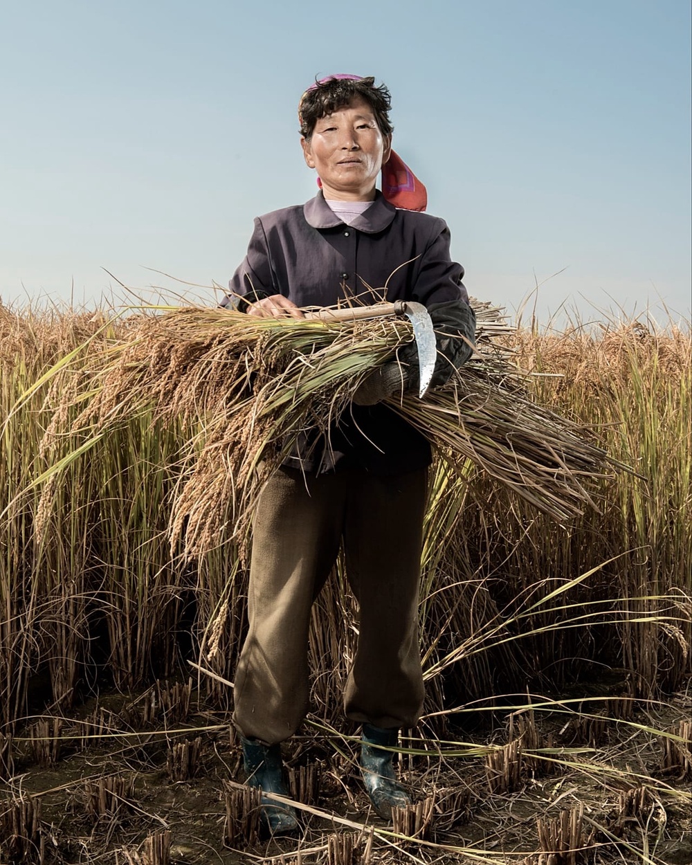 Stephan Gladieu's photograph '52', a part of his 'North Korea' series.
