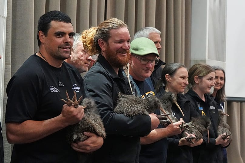Staff members of conservation organizations hold kiwi birds during an event at Parliament in Wellington, New Zealand, Tuesday, April 28, 2026. 